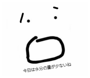 845170624