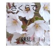 845170629
