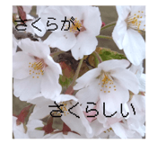 845170630