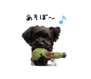 845171007