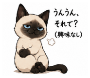 845171100