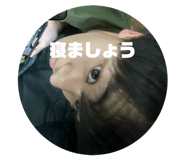 845171710