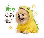 845172526