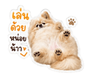 845172528