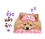 845172529