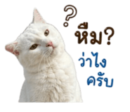 845172819