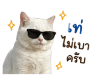 845172827