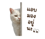 845172830