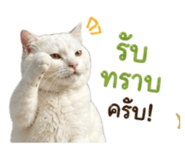 845172832