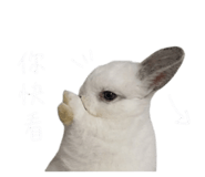 845173906