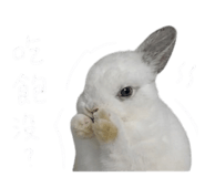 845173908