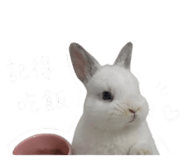 845173911