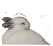 845173916