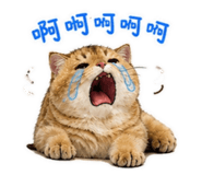 845174330