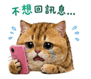 845174334