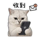 845176243