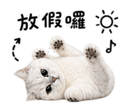 845176260