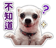 845176317