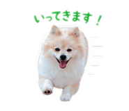 845176657