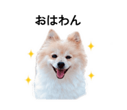 845176664