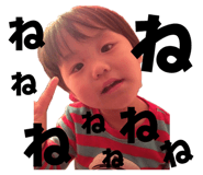 845177042