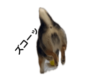 845177116