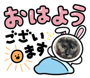 845177151