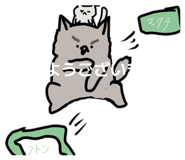 845177482