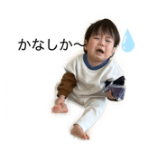 845177518