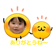 845177531