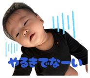 845177695