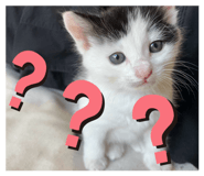 845178304