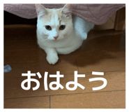 845178950