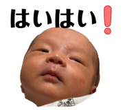 845179084