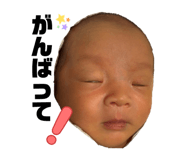 845179095