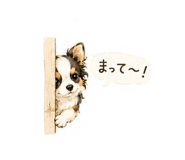 845180071