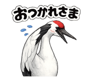 845180828