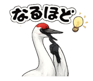 845180834