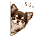845181102
