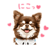 845181130