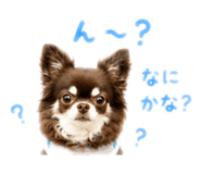 845181143