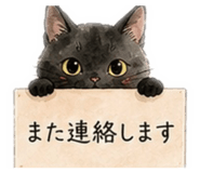 845181541