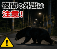 845181869