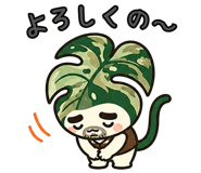 845181953