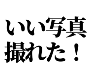 845182578