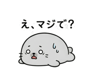 845182604