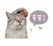 845183530