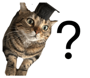 845184128