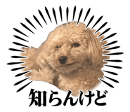 845184200