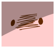 845184636